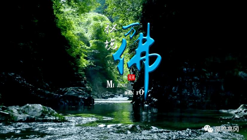 东方甄选出海与TikTok合作？知情人士回应：消息属实
