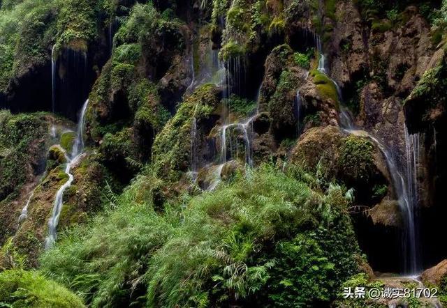 逃离橙园